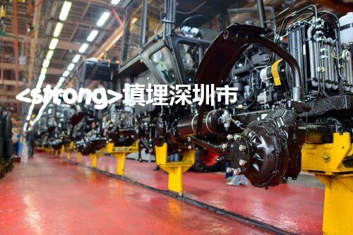 <strong>填埋深圳市危险废物处理站有限公司化工设施安全解体：如何高效处理复杂工业遗留问题？</strong>